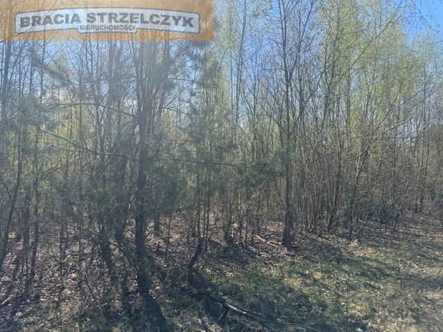 Grochowa, gm. Piaseczno - na sprzedaż 2 działki