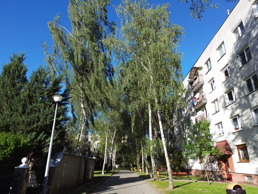 Kawalerka z balkonem na 1 piętrze!