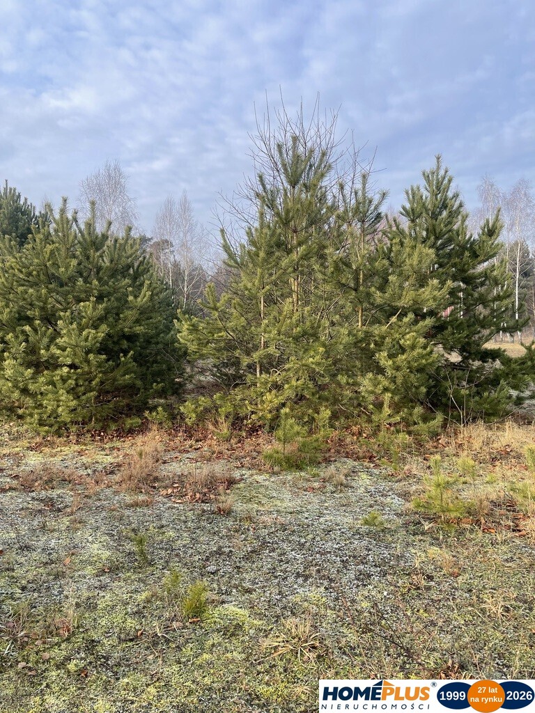 Działka 1000 m² pod zabudowę letniskową.