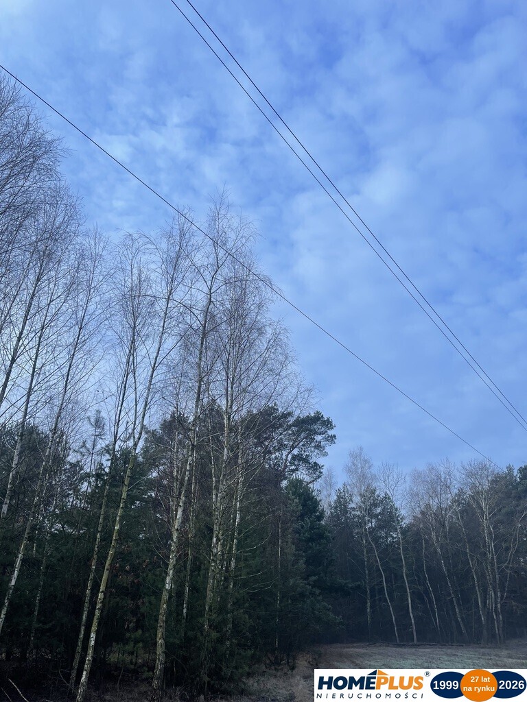 Działka 1000 m² pod zabudowę letniskową.
