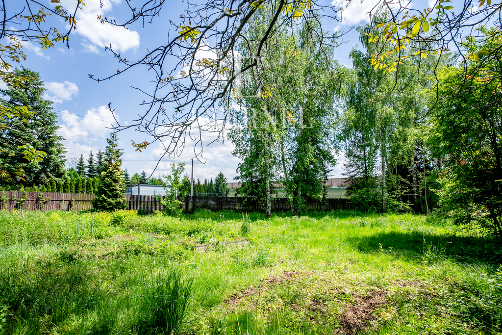 3-pokojowe mieszkanie na parterze do wynajęcia 75m