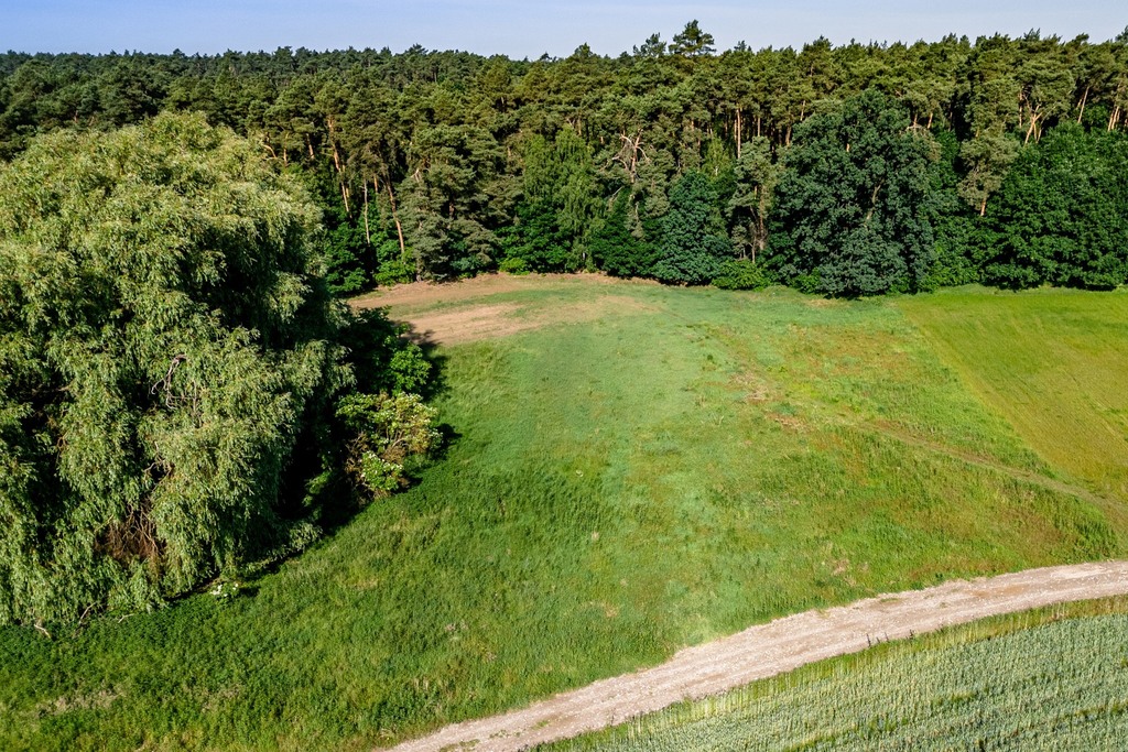 Działka budowlana 3357m2 Porażyn| MPZP| pod lasem