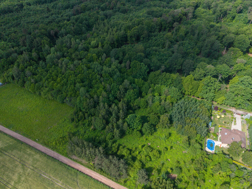Wyjątkowa działka tuż przy rezerwacie przyrody
