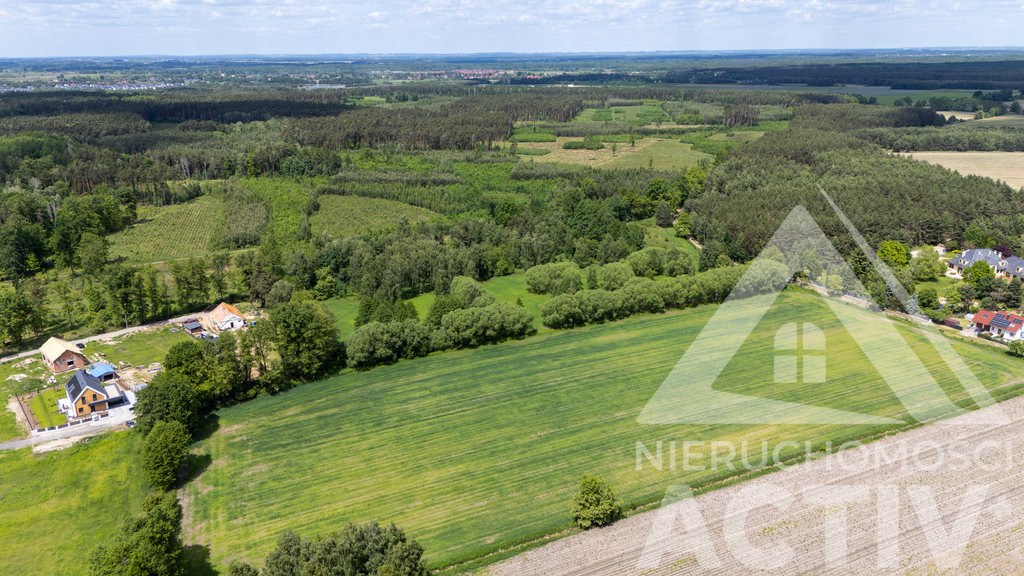 2988 m² z zadrzewieniem, blisko Jelcz i Oława