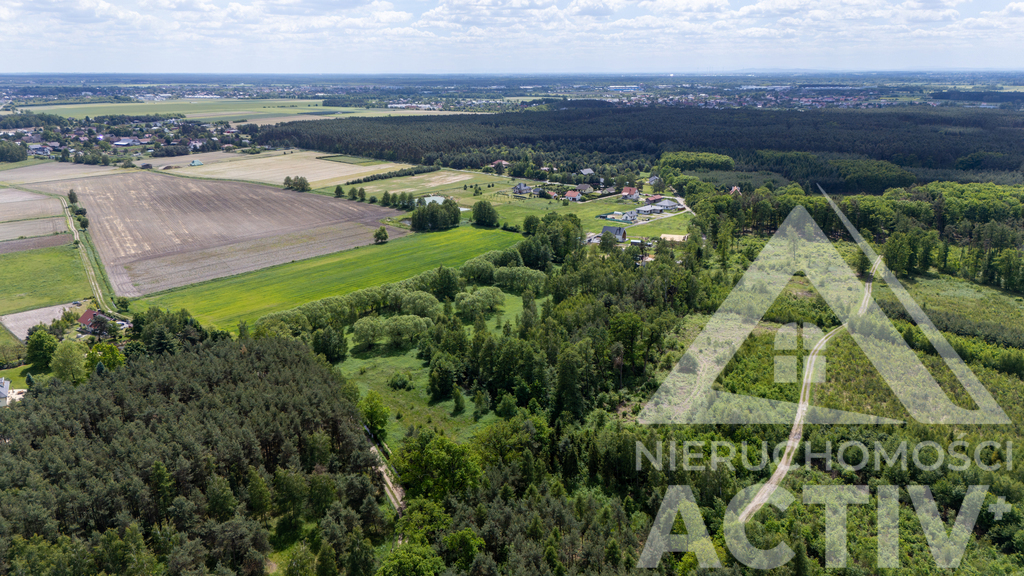 2988 m² z zadrzewieniem, blisko Jelcz i Oława
