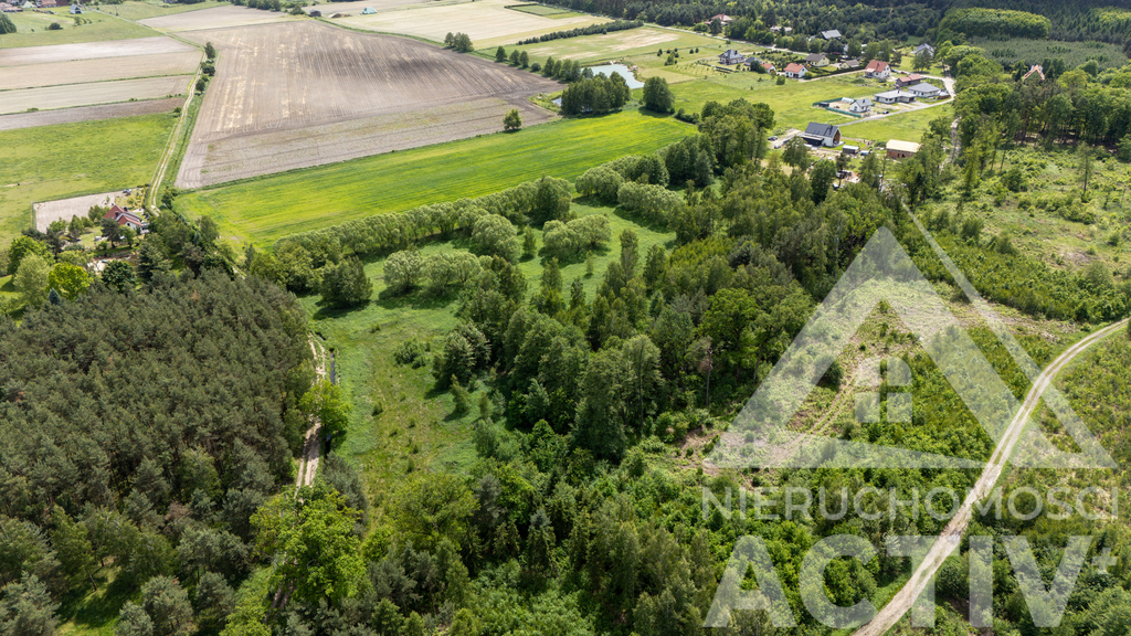 2988 m² z zadrzewieniem, blisko Jelcz i Oława