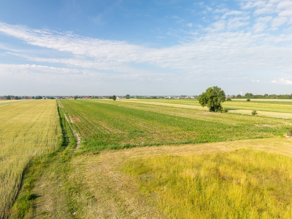 Spokój Longinówki. Wygoda Piotrkowa.