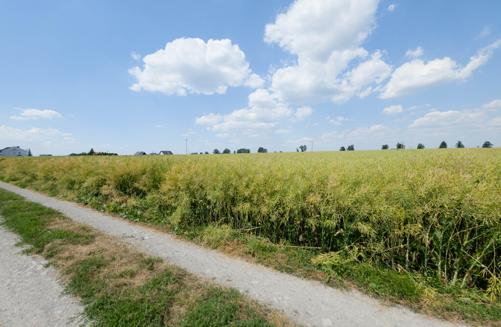 Działka inwestycyjna 1,17 ha Przeworsk MPZP
