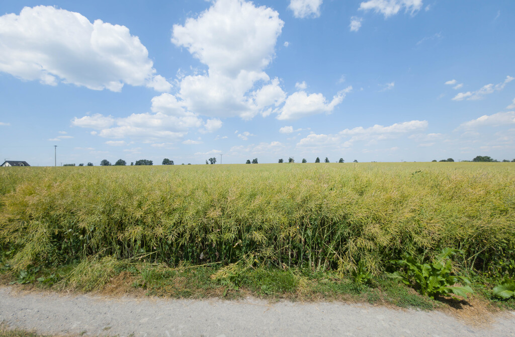 Działka inwestycyjna 1,17 ha Przeworsk MPZP