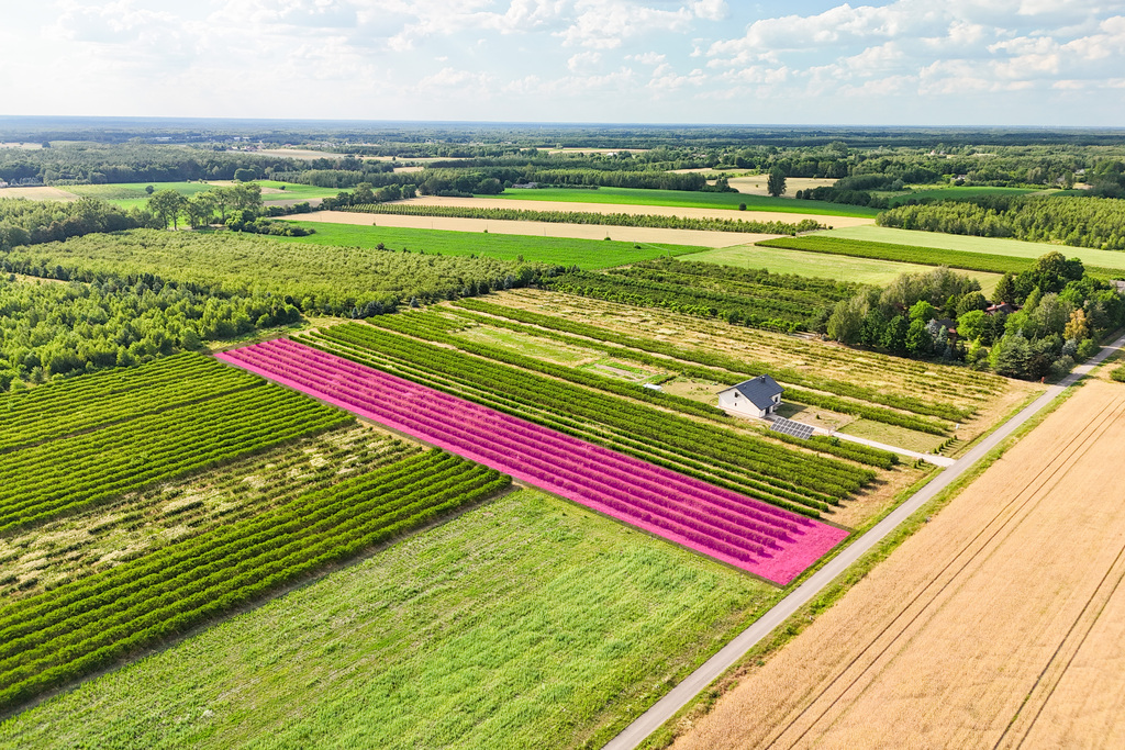 Przepiękna działka budowlana 5955m2 z WZ - OKAZJA!