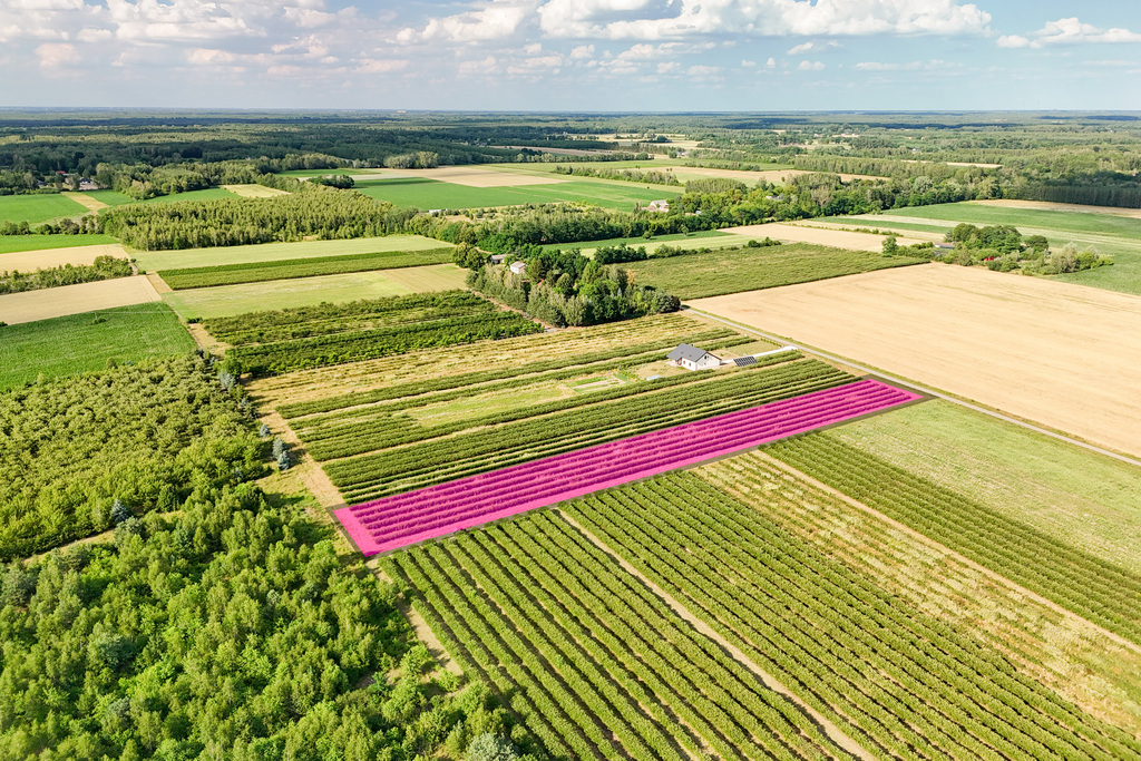 Przepiękna działka budowlana 5955m2 z WZ - OKAZJA!