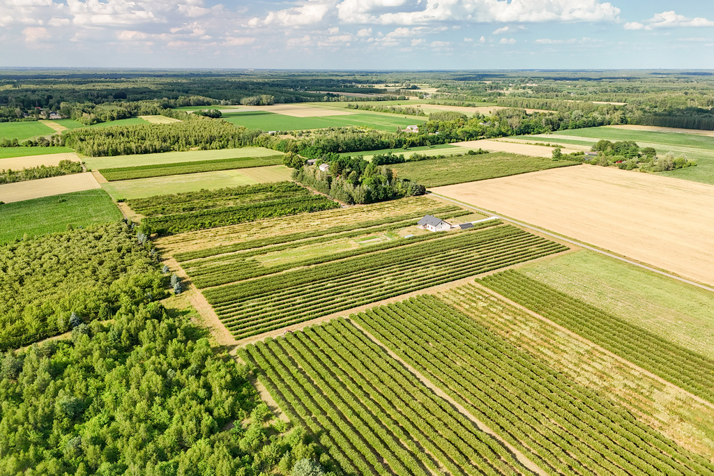 Przepiękna działka budowlana 5955m2 z WZ - OKAZJA!