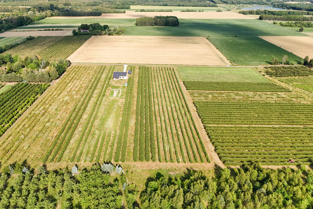 Przepiękna działka budowlana 5955m2 z WZ - OKAZJA!