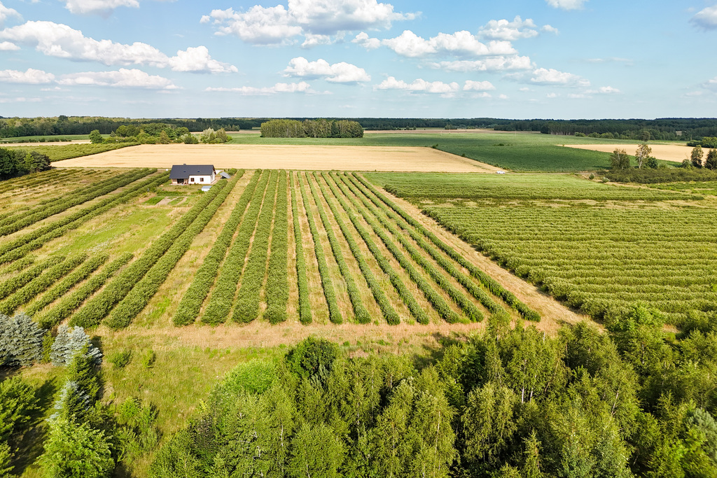Przepiękna działka budowlana 5955m2 z WZ - OKAZJA!