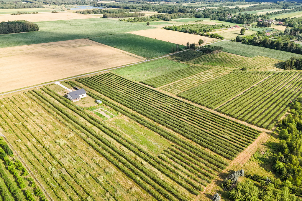 Przepiękna działka budowlana 5955m2 z WZ - OKAZJA!