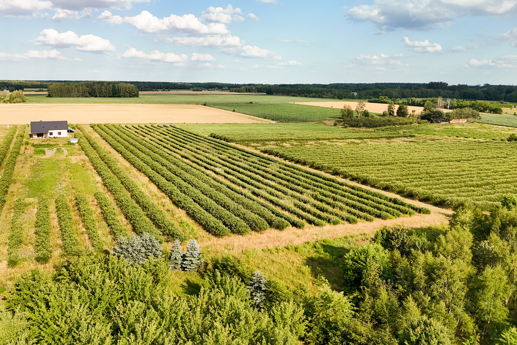 Przepiękna działka budowlana 5955m2 z WZ - OKAZJA!