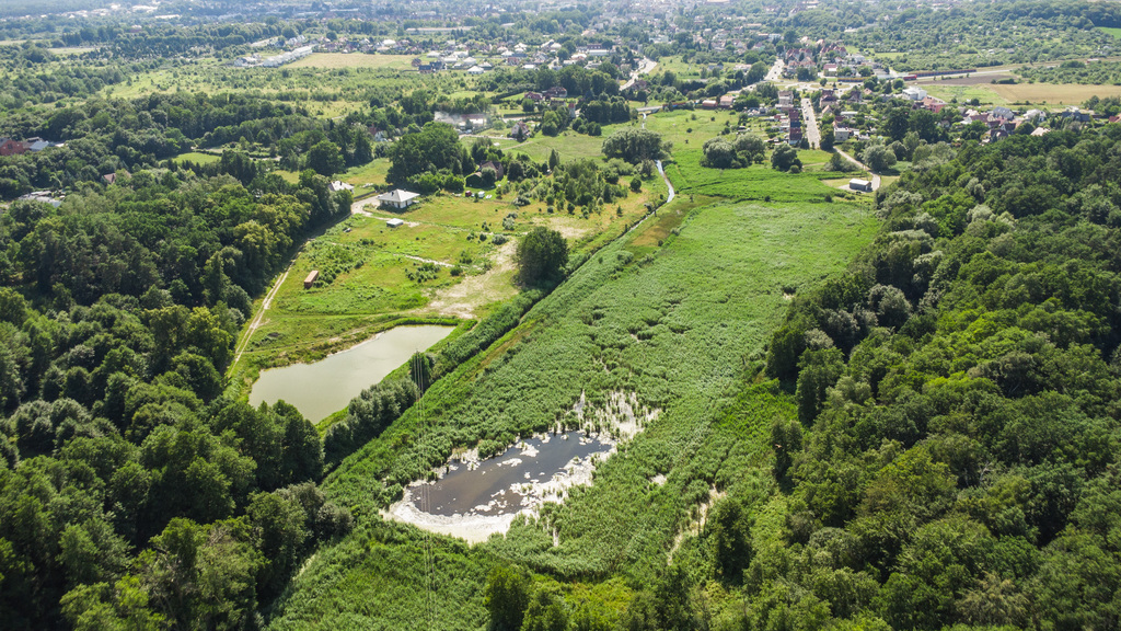 Prawie 7 ha w Żarach za 8,70 zł/m²