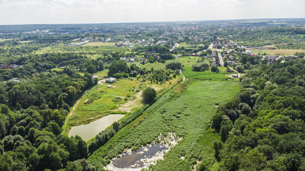 Prawie 7 ha w Żarach za 8,70 zł/m²