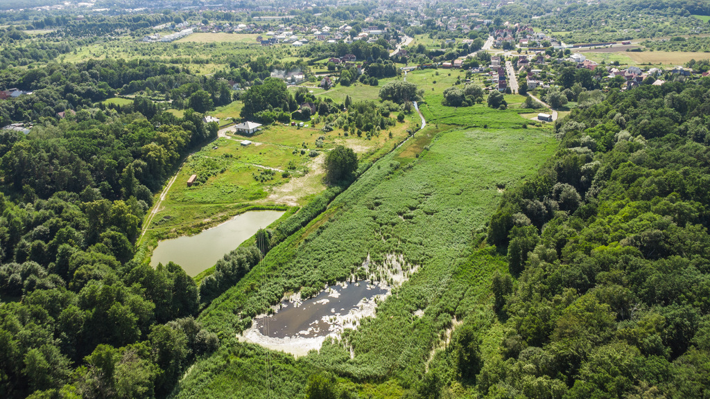 Prawie 7 ha w Żarach za 8,70 zł/m²