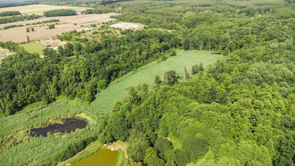 Prawie 7 ha w Żarach za 8,70 zł/m²