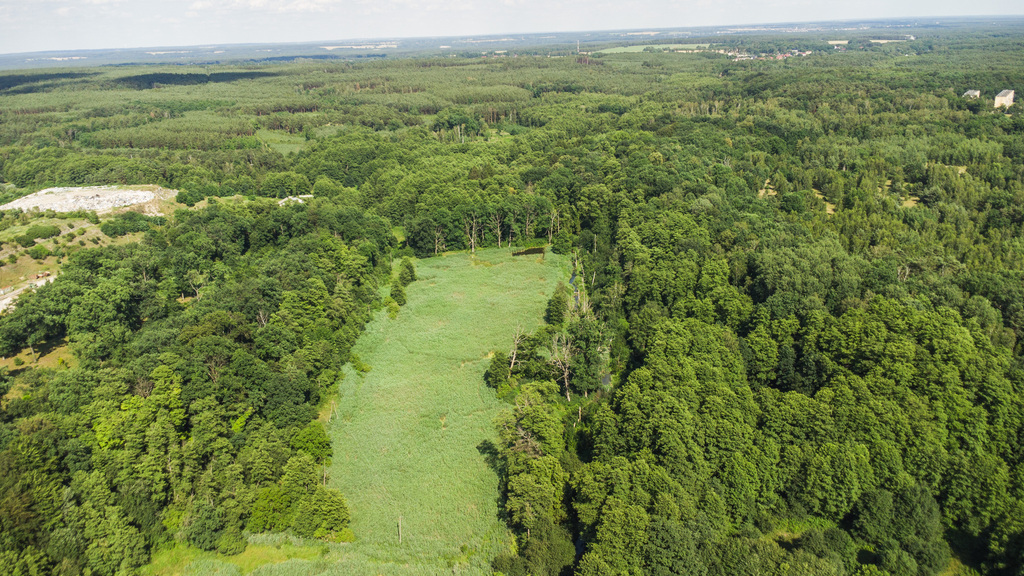 Prawie 7 ha w Żarach za 8,70 zł/m²