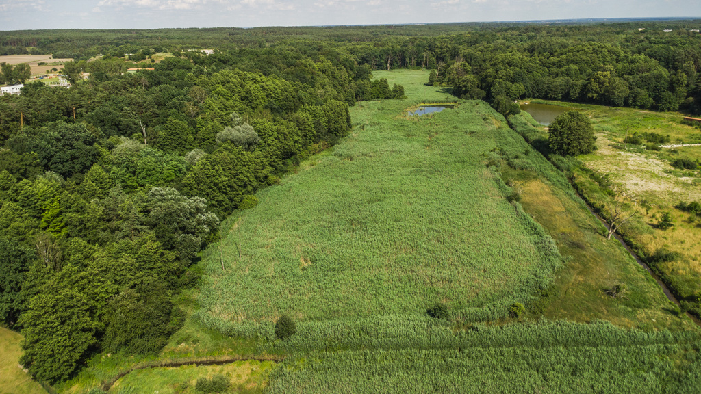 Prawie 7 ha w Żarach za 8,70 zł/m²