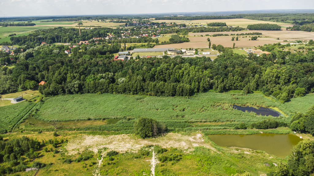Prawie 7 ha w Żarach za 8,70 zł/m²