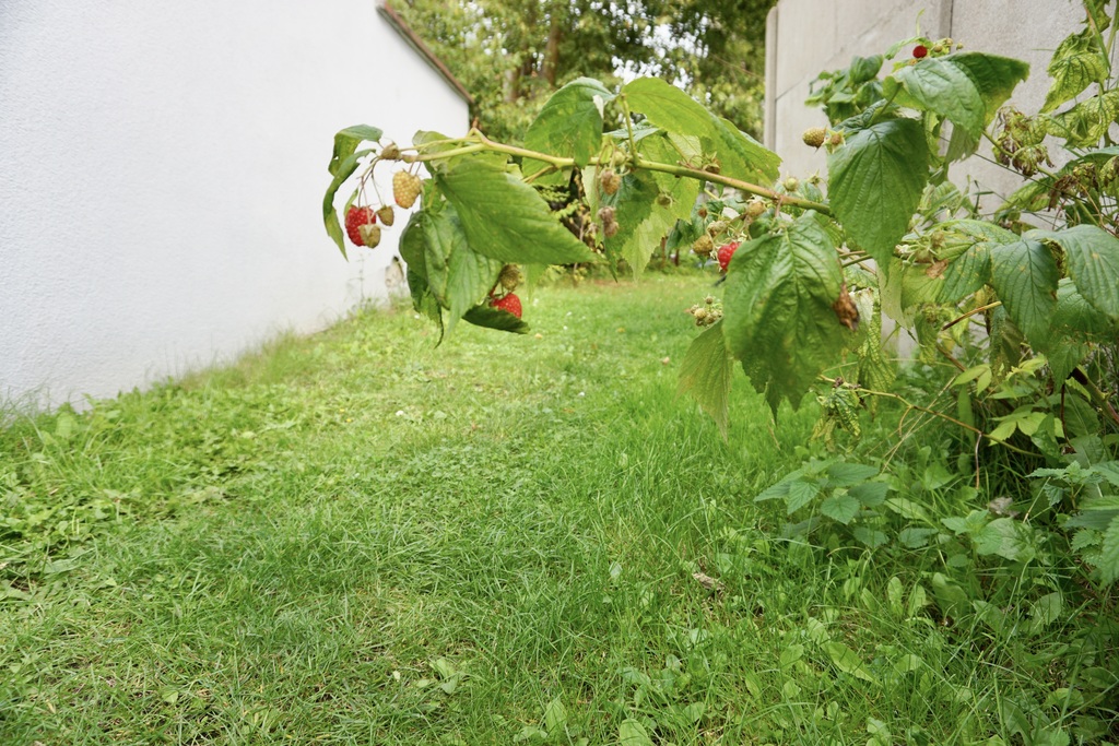 Bliźniak 60 m² z ogrodem – świetna lokalizacja