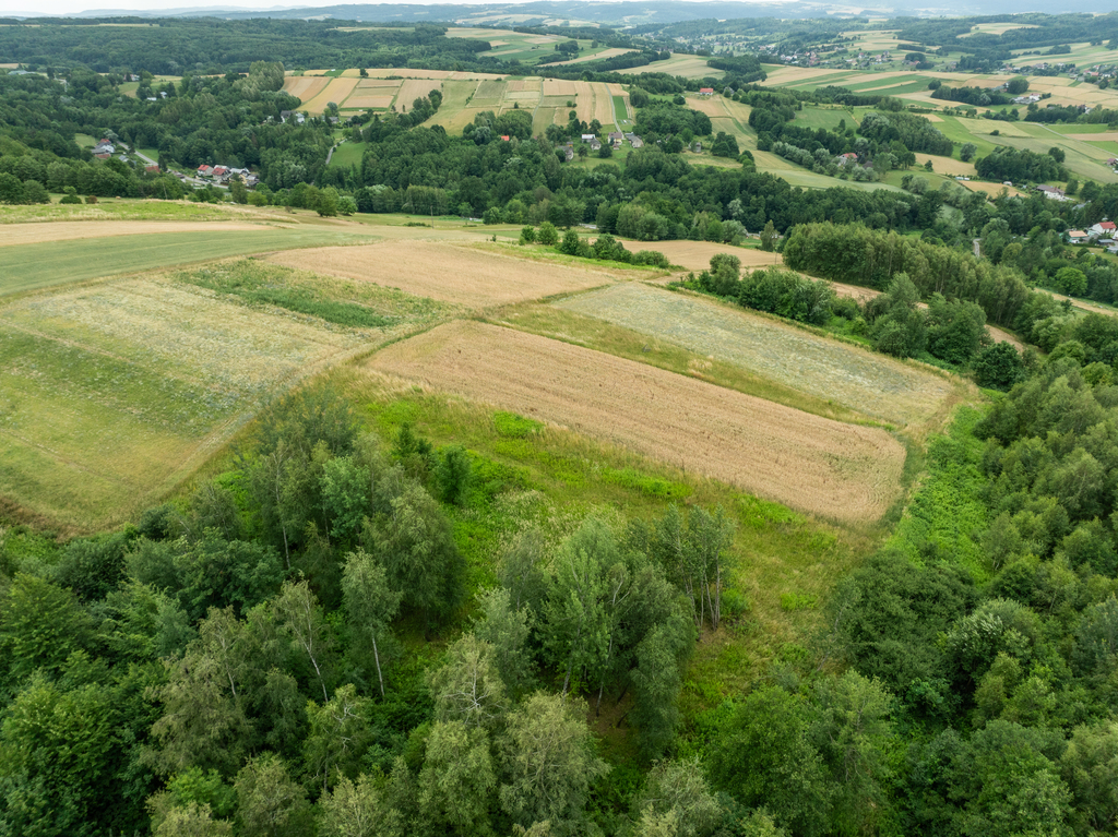 Broniszów - widokowa, budowlana 36,54 ar z WZ