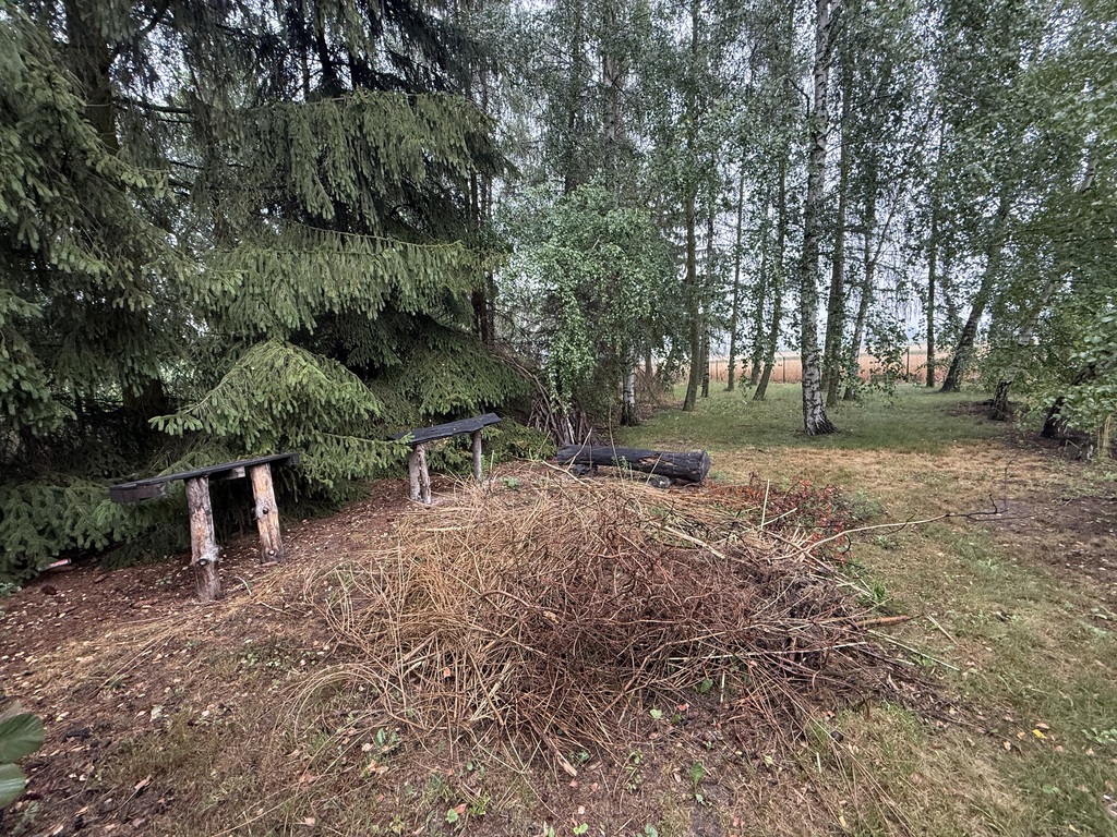 Dom z potencjałem i zieloną działką | 2000m²