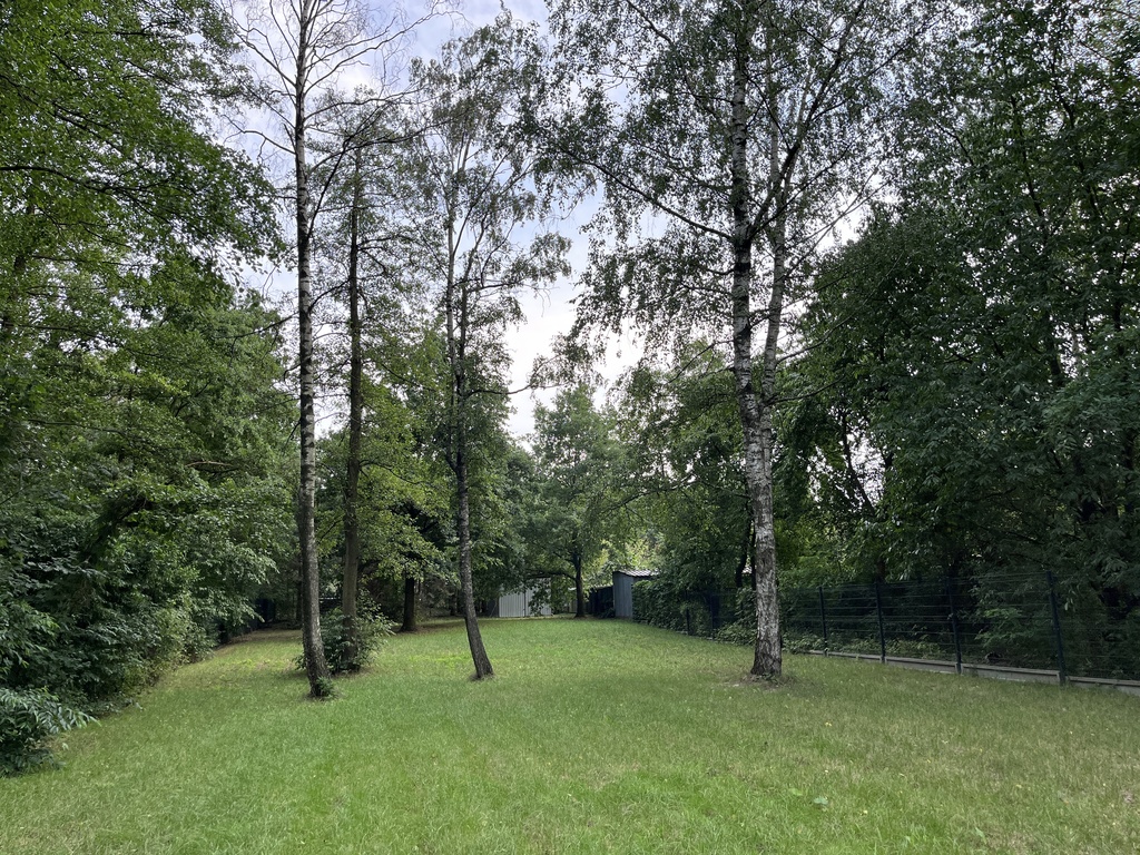 1500m2 ciszy w Łodzi. Działka budowlana z WZ