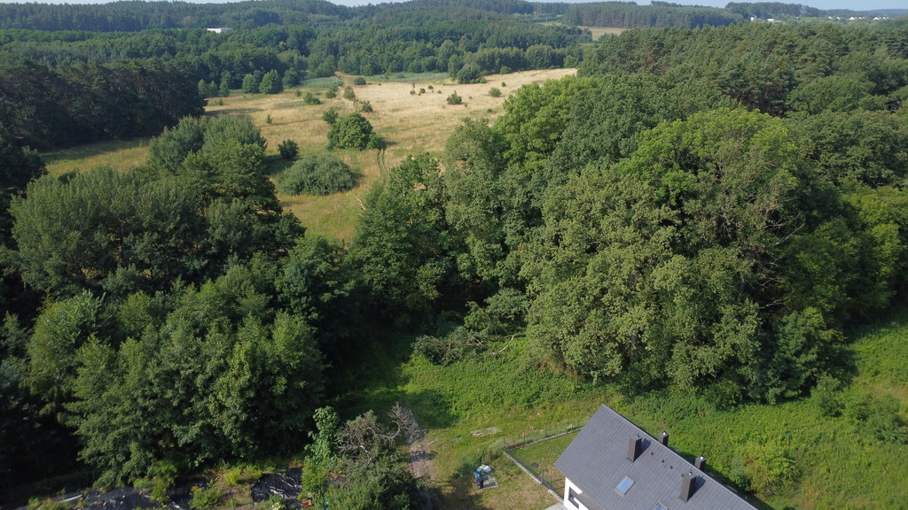 Land banking: Kup tanio, zarób za kilka lat