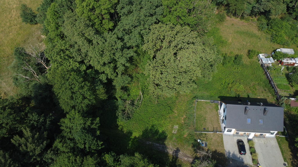 Land banking: Kup tanio, zarób za kilka lat