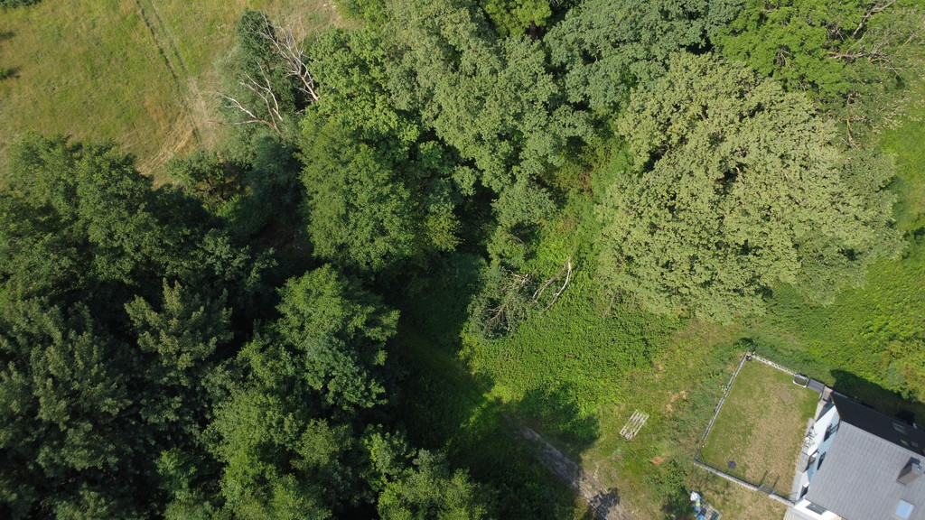 Land banking: Kup tanio, zarób za kilka lat