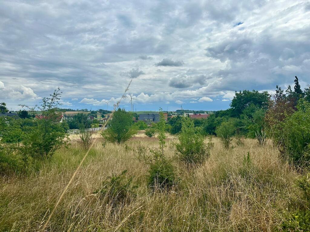 Boska działka z widokiem na lepsze jutro!