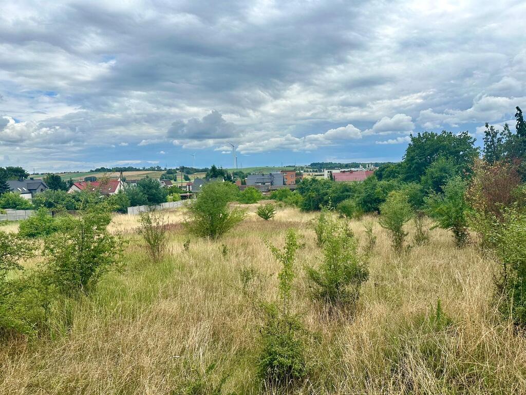 Boska działka z widokiem na lepsze jutro!