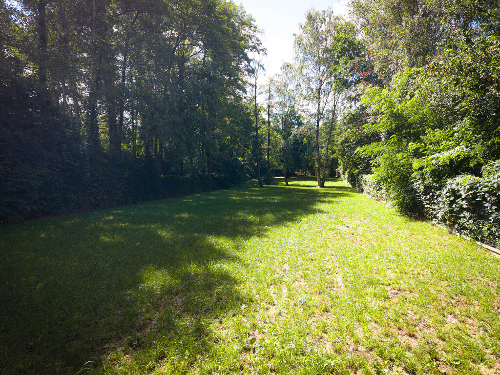 1500m2 ciszy w Łodzi. Działka budowlana z WZ