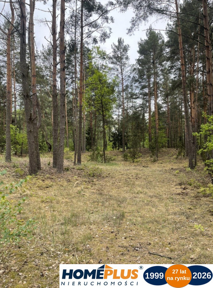 Działka w lesie 2064 m² - letniskowa i całoroczna