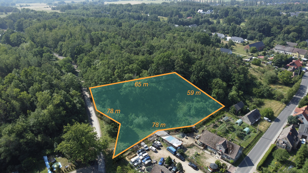 Buduj na 1000 m2 i zyskaj prywatny las