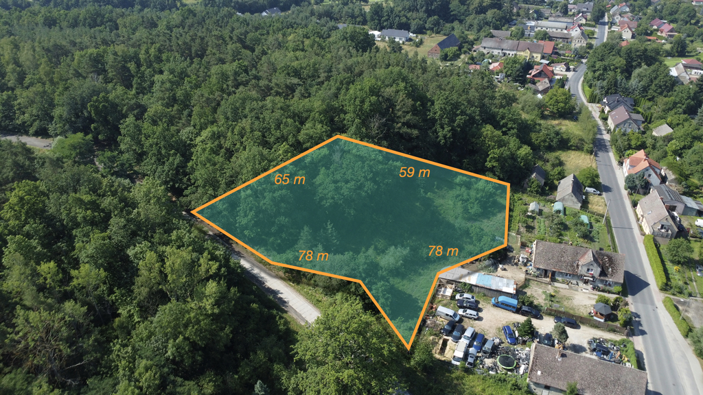 Buduj na 1000 m2 i zyskaj prywatny las