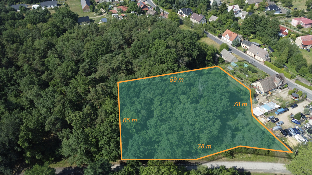 Buduj na 1000 m2 i zyskaj prywatny las
