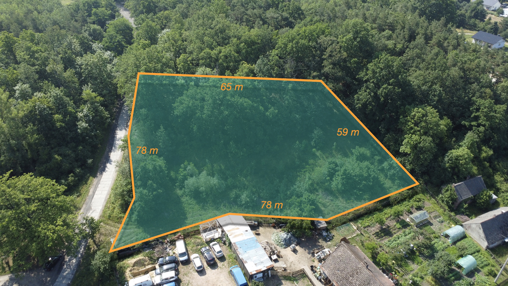 Buduj na 1000 m2 i zyskaj prywatny las