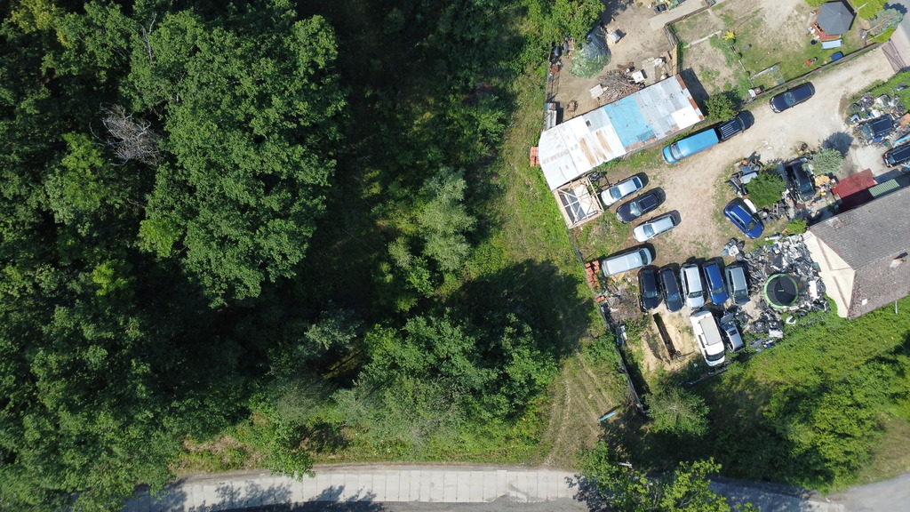 Buduj na 1000 m2 i zyskaj prywatny las