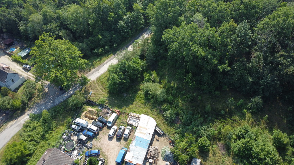 Buduj na 1000 m2 i zyskaj prywatny las