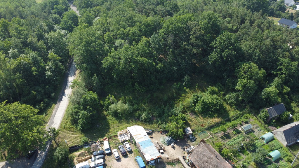 Buduj na 1000 m2 i zyskaj prywatny las