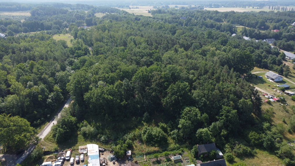 Buduj na 1000 m2 i zyskaj prywatny las
