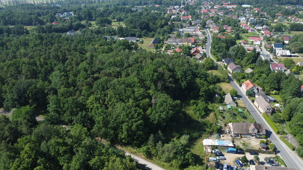 Buduj na 1000 m2 i zyskaj prywatny las