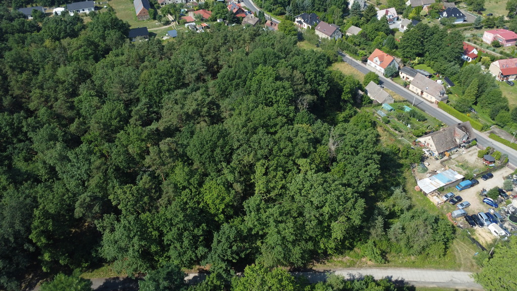 Buduj na 1000 m2 i zyskaj prywatny las
