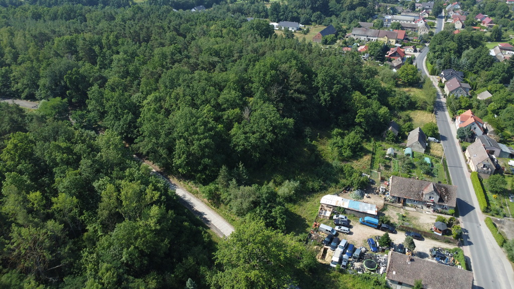 Buduj na 1000 m2 i zyskaj prywatny las