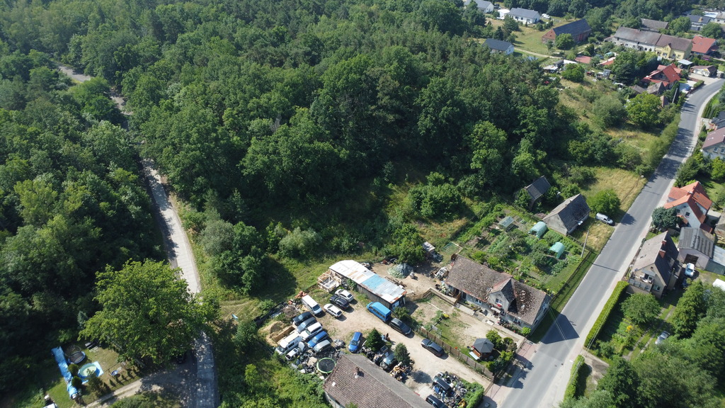 Buduj na 1000 m2 i zyskaj prywatny las
